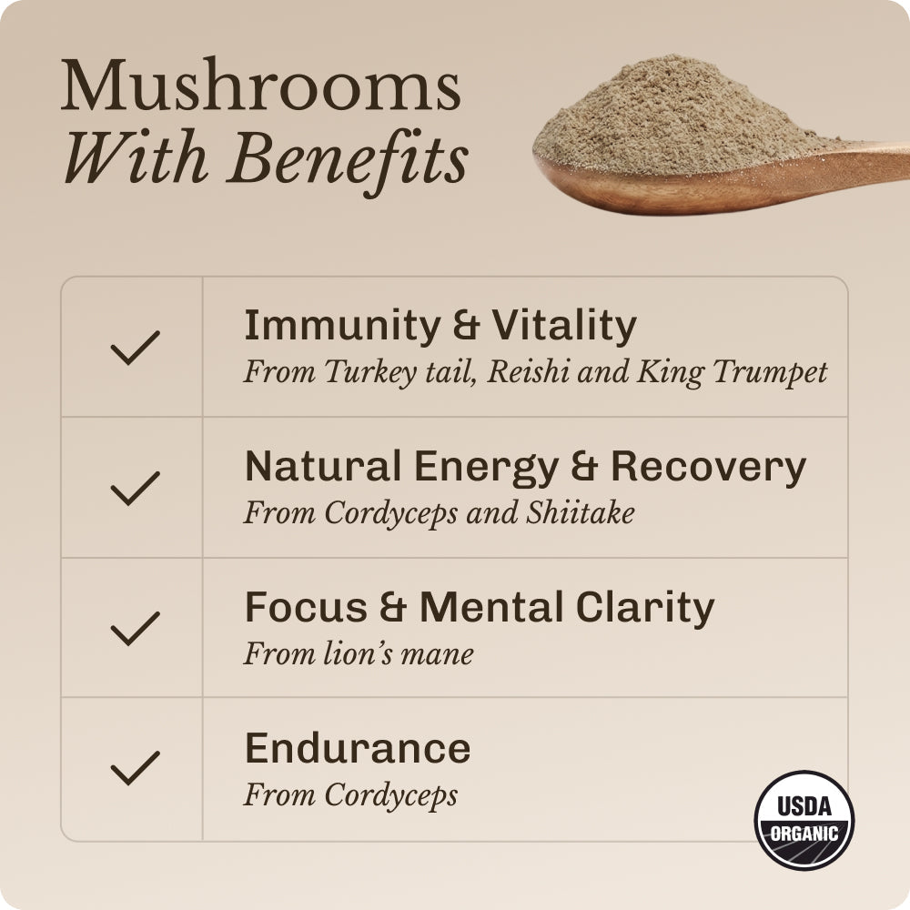 mushroom-boost-30-serving-g9 Mushroom_Boost_Image_02.jpg