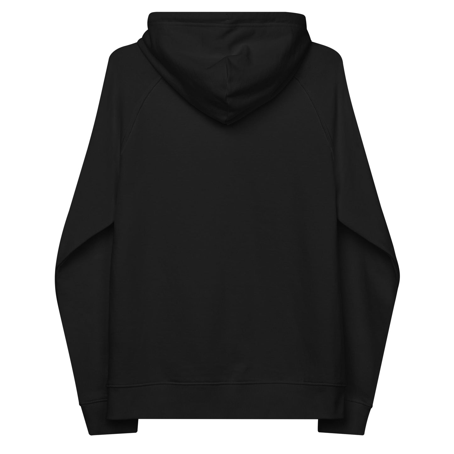 unlearn-relearn-hoodie-v8 unisex-eco-raglan-hoodie-black-back-647547b169f25.jpg