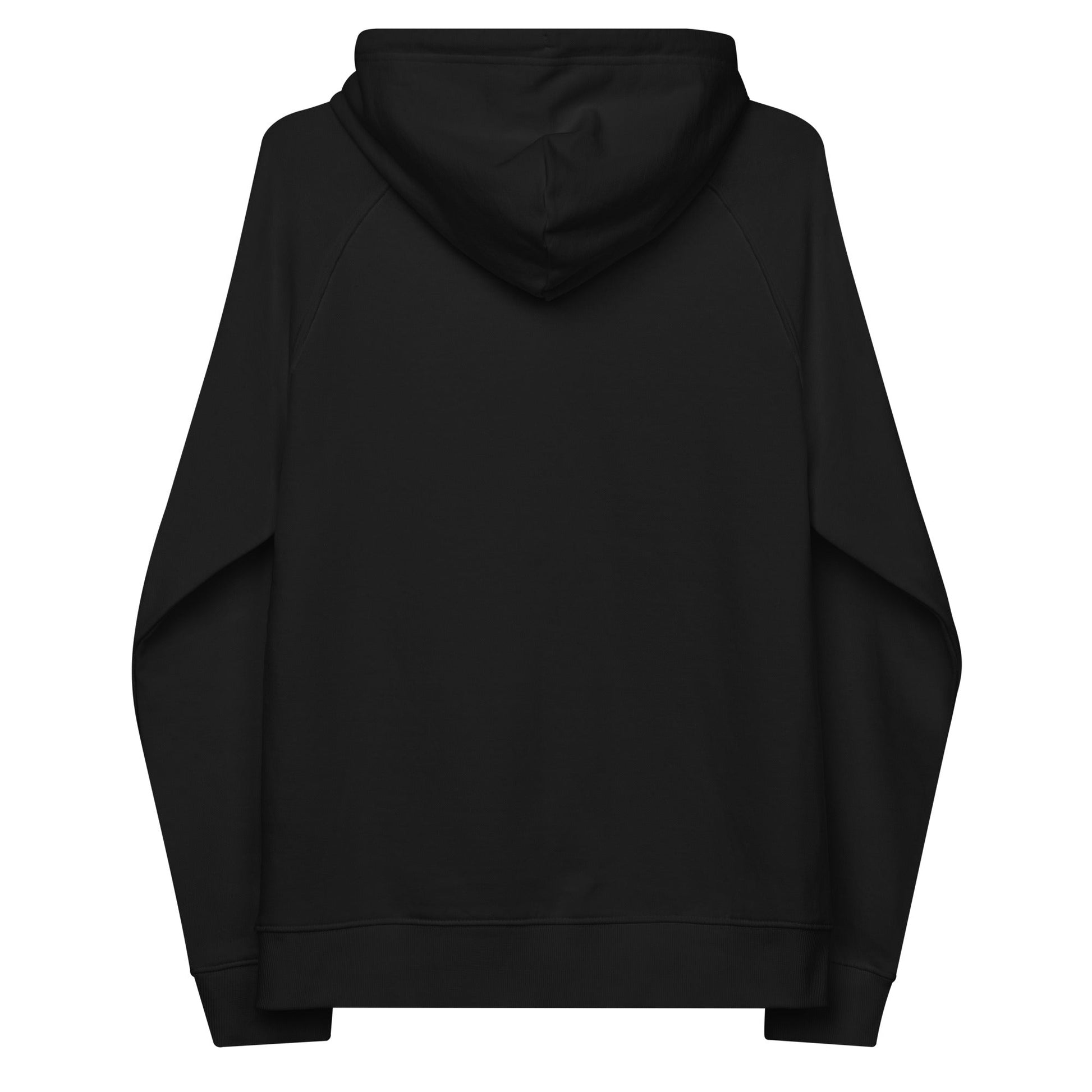 unlearn-relearn-hoodie-v8 unisex-eco-raglan-hoodie-black-back-647547b169f25.jpg